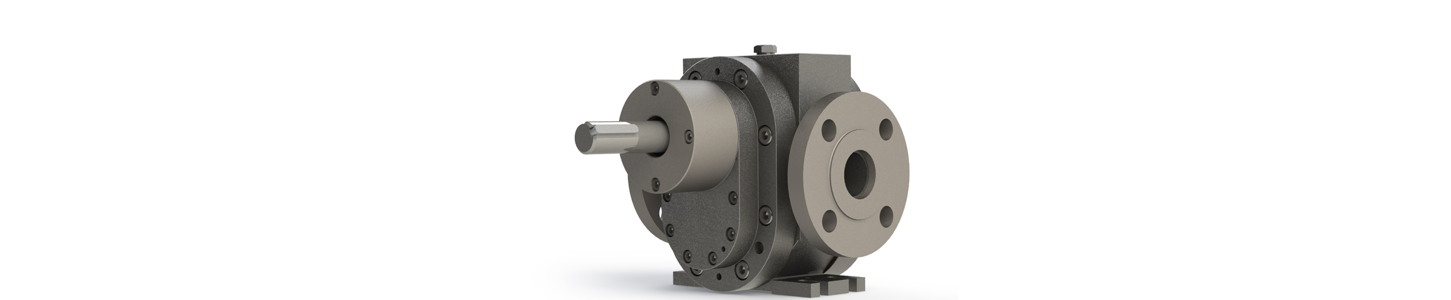 Pompe positive -site Pompe positive -site